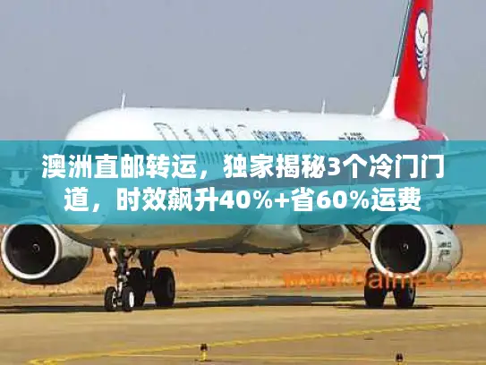 澳洲直邮转运，独家揭秘3个冷门门道，时效飙升40%+省60%运费