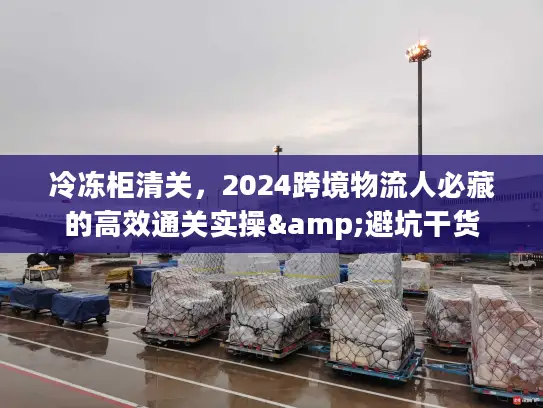 冷冻柜清关，2024跨境物流人必藏的高效通关实操&避坑干货
