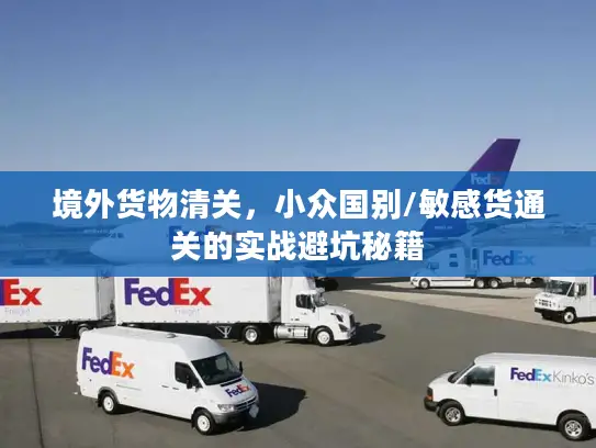 境外货物清关，小众国别/敏感货通关的实战避坑秘籍