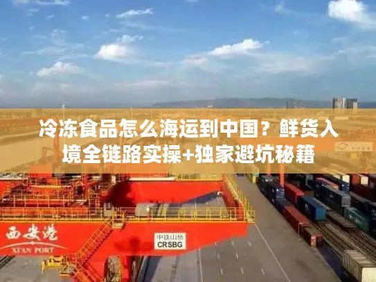 冷冻食品怎么海运到中国？鲜货入境全链路实操+独家避坑秘籍