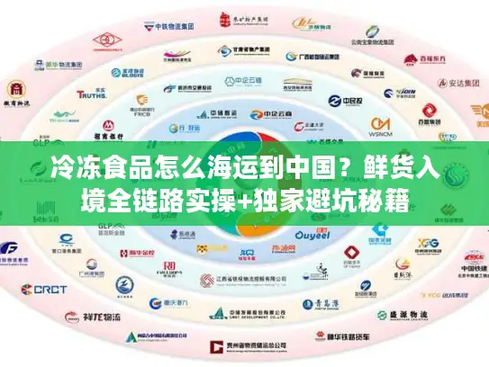 冷冻食品怎么海运到中国？鲜货入境全链路实操+独家避坑秘籍