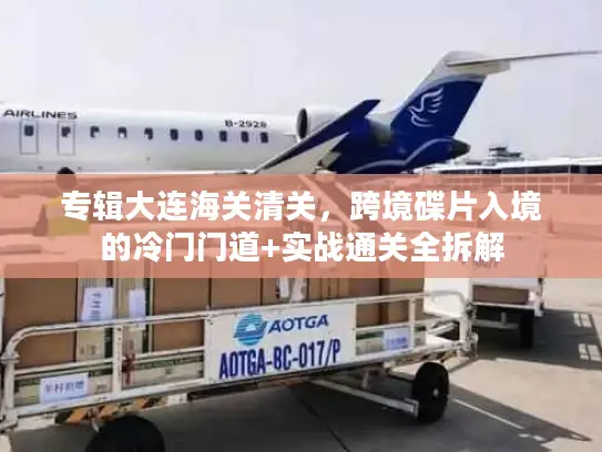 专辑大连海关清关，跨境碟片入境的冷门门道+实战通关全拆解