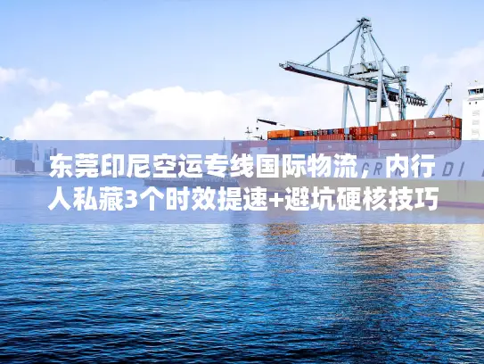 东莞印尼空运专线国际物流，内行人私藏3个时效提速+避坑硬核技巧