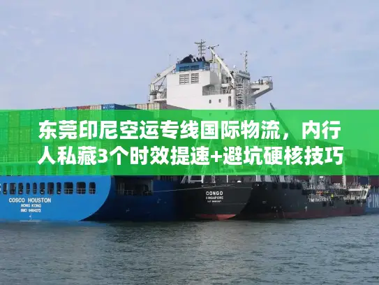 东莞印尼空运专线国际物流，内行人私藏3个时效提速+避坑硬核技巧