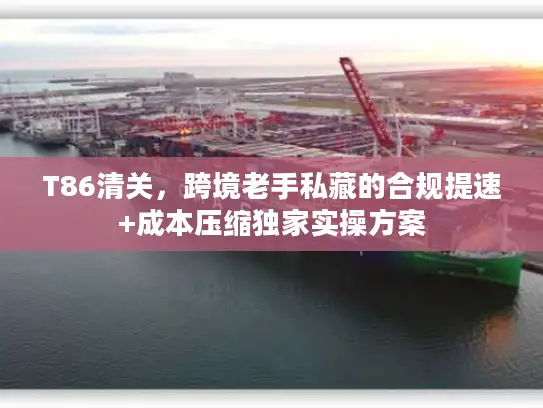 T86清关，跨境老手私藏的合规提速+成本压缩独家实操方案