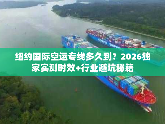 纽约国际空运专线多久到？2026独家实测时效+行业避坑秘籍