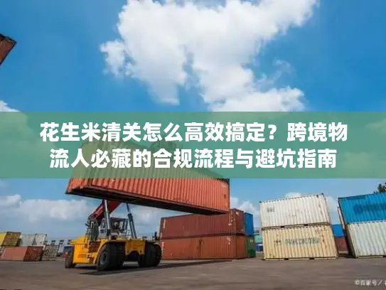 花生米清关怎么高效搞定？跨境物流人必藏的合规流程与避坑指南