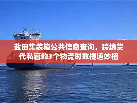 盐田集装箱公共信息查询，跨境货代私藏的3个物流时效提速妙招