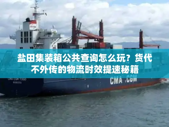 盐田集装箱公共查询怎么玩?货代不外传的物流时效提速秘籍 盐田集装箱公共查询怎么玩?货代不外传的物流时效提速秘籍