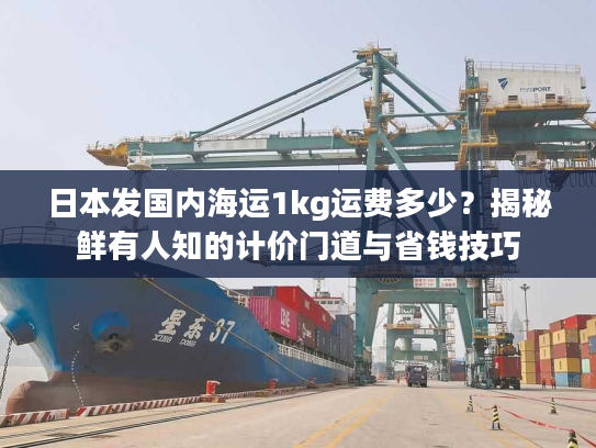 日本发国内海运1kg运费多少？揭秘鲜有人知的计价门道与省钱技巧