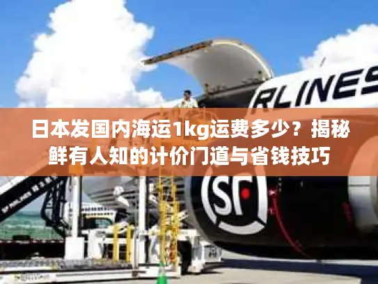日本发国内海运1kg运费多少？揭秘鲜有人知的计价门道与省钱技巧