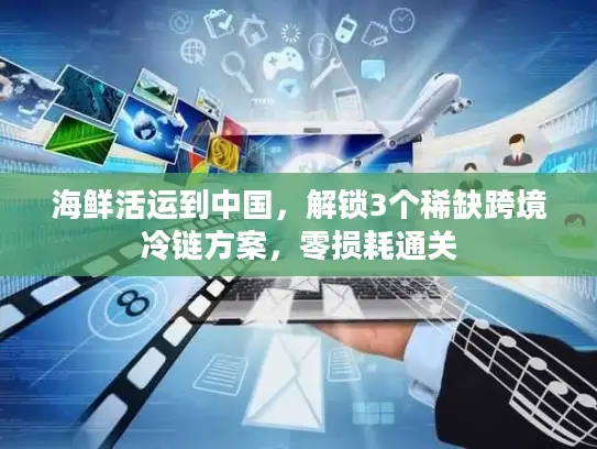 海鲜活运到中国，解锁3个稀缺跨境冷链方案，零损耗通关