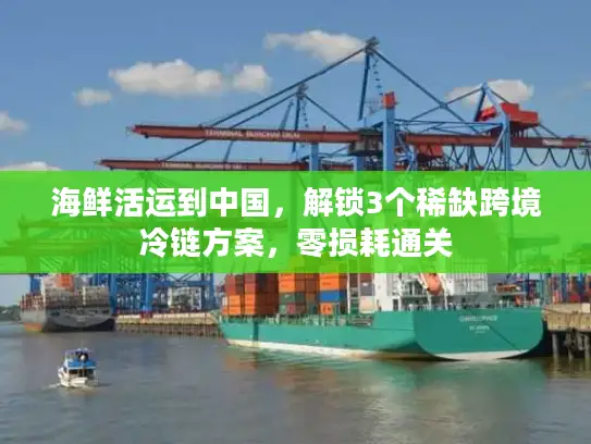 海鲜活运到中国，解锁3个稀缺跨境冷链方案，零损耗通关