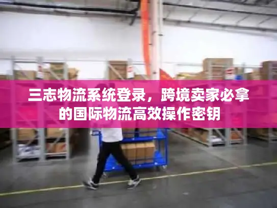 三志物流系统登录，跨境卖家必拿的国际物流高效操作密钥
