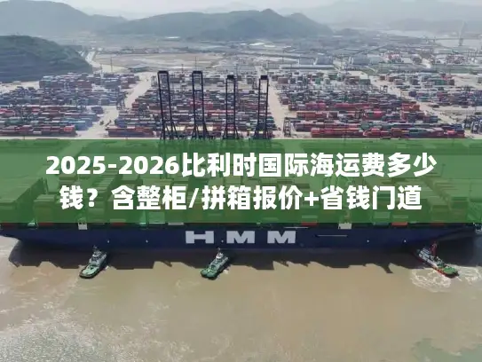 2025-2026比利时国际海运费多少钱？含整柜/拼箱报价+省钱门道