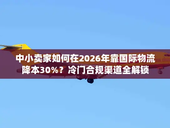 中小卖家如何在2026年靠国际物流降本30%？冷门合规渠道全解锁