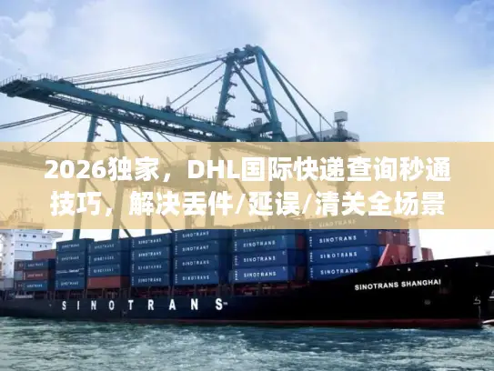 2026独家，DHL国际快递查询秒通技巧，解决丢件/延误/清关全场景问题