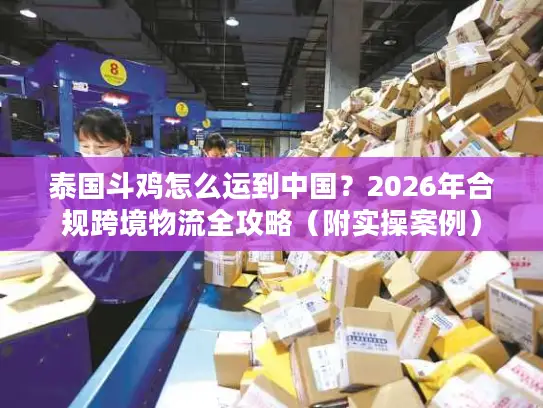 泰国斗鸡怎么运到中国？2026年合规跨境物流全攻略（附实操案例）