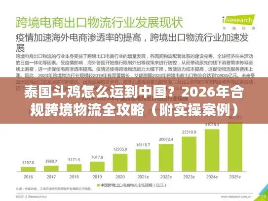 泰国斗鸡怎么运到中国？2026年合规跨境物流全攻略（附实操案例）