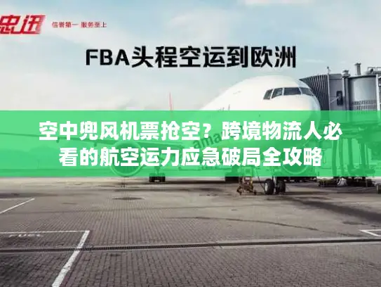 空中兜风机票抢空？跨境物流人必看的航空运力应急破局全攻略