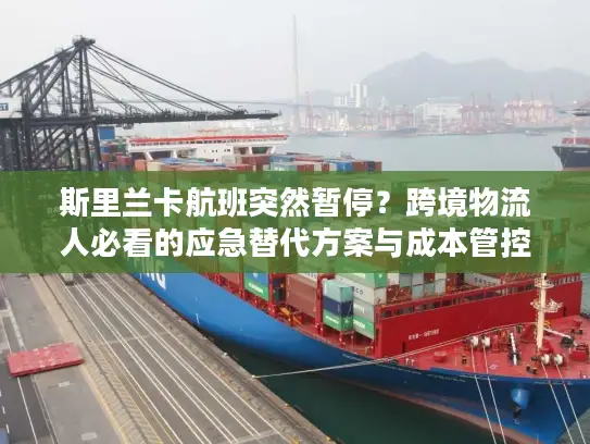 斯里兰卡航班突然暂停？跨境物流人必看的应急替代方案与成本管控全攻略