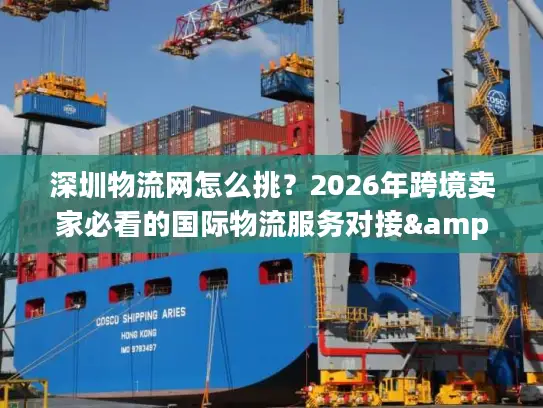 深圳物流网怎么挑？2026年跨境卖家必看的国际物流服务对接&成本优化全攻略