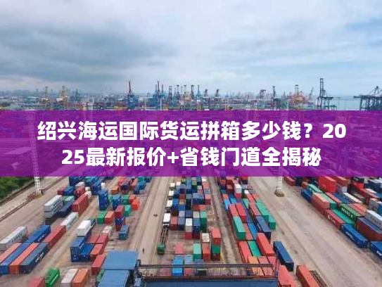 绍兴海运国际货运拼箱多少钱？2025最新报价+省钱门道全揭秘