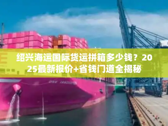 绍兴海运国际货运拼箱多少钱？2025最新报价+省钱门道全揭秘