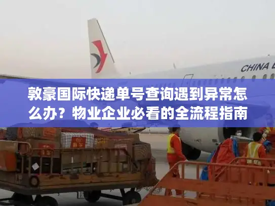 敦豪国际快递单号查询遇到异常怎么办？物业企业必看的全流程指南