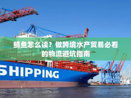 鲷鱼怎么读？做跨境水产贸易必看的物流避坑指南