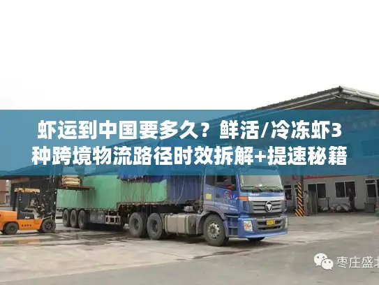 虾运到中国要多久？鲜活/冷冻虾3种跨境物流路径时效拆解+提速秘籍