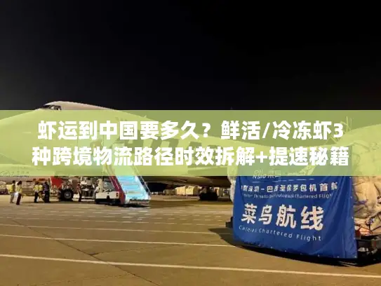 虾运到中国要多久？鲜活/冷冻虾3种跨境物流路径时效拆解+提速秘籍
