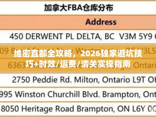 维密直邮全攻略，2026独家避坑技巧+时效/运费/清关实操指南