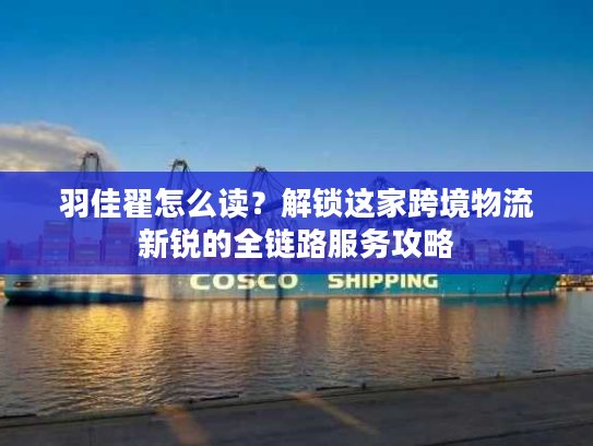 羽佳翟怎么读？解锁这家跨境物流新锐的全链路服务攻略