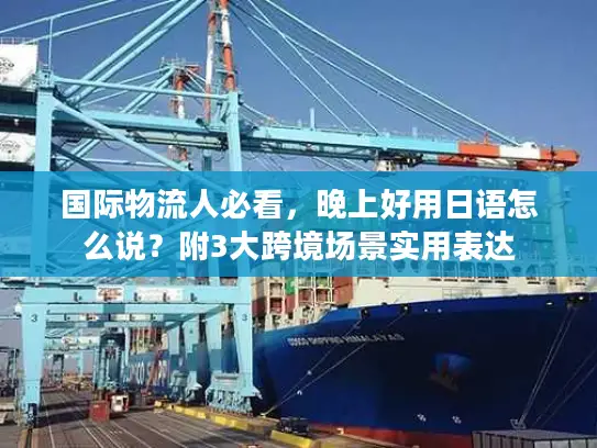 国际物流人必看，晚上好用日语怎么说？附3大跨境场景实用表达