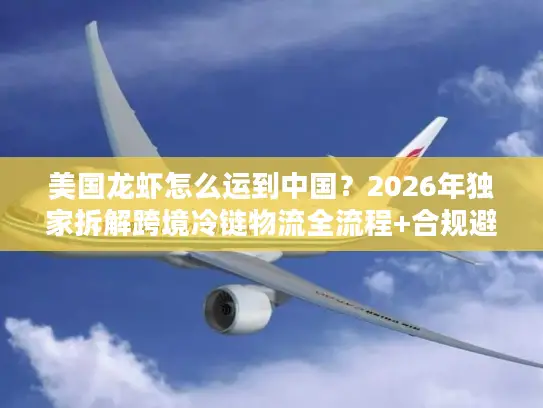美国龙虾怎么运到中国？2026年独家拆解跨境冷链物流全流程+合规避坑指南