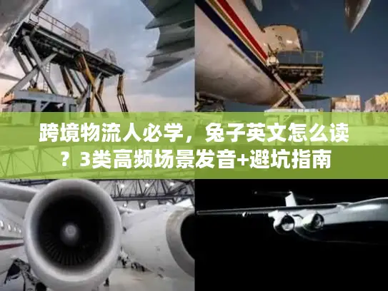 跨境物流人必学，兔子英文怎么读？3类高频场景发音+避坑指南