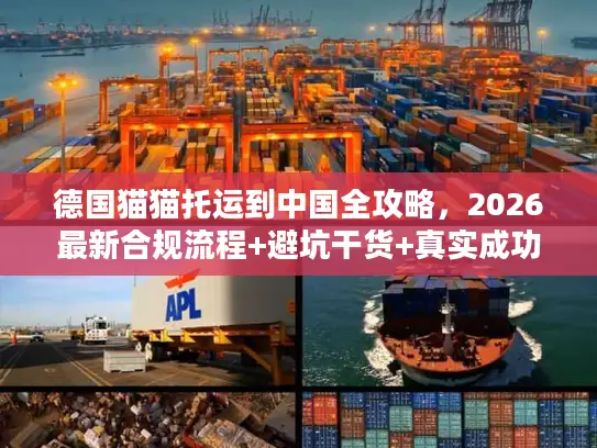德国猫猫托运到中国全攻略,2026最新合规流程+避坑干货+真实成功案例 德国猫猫托运到中国全攻略,2026最新合规流程+避坑干货+真实成功案例