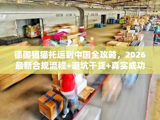 德国猫猫托运到中国全攻略，2026最新合规流程+避坑干货+真实成功案例