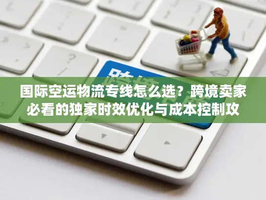 国际空运物流专线怎么选？跨境卖家必看的独家时效优化与成本控制攻略