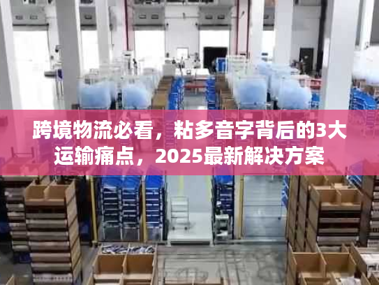 跨境物流必看，粘多音字背后的3大运输痛点，2025最新解决方案