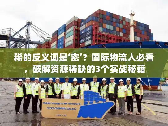 稀的反义词是‘密’？国际物流人必看，破解资源稀缺的3个实战秘籍