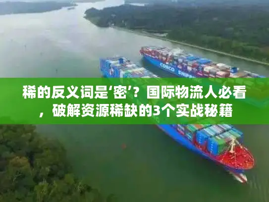 稀的反义词是‘密’？国际物流人必看，破解资源稀缺的3个实战秘籍