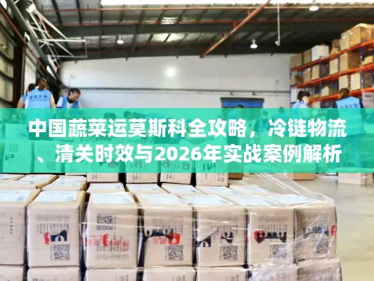 中国蔬菜运莫斯科全攻略，冷链物流、清关时效与2026年实战案例解析