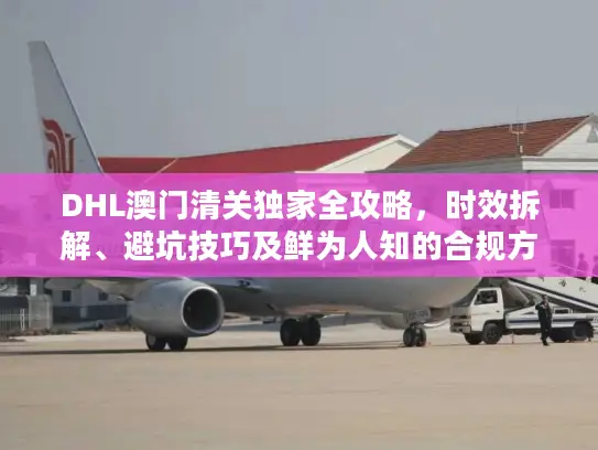 DHL澳门清关独家全攻略，时效拆解、避坑技巧及鲜为人知的合规方案
