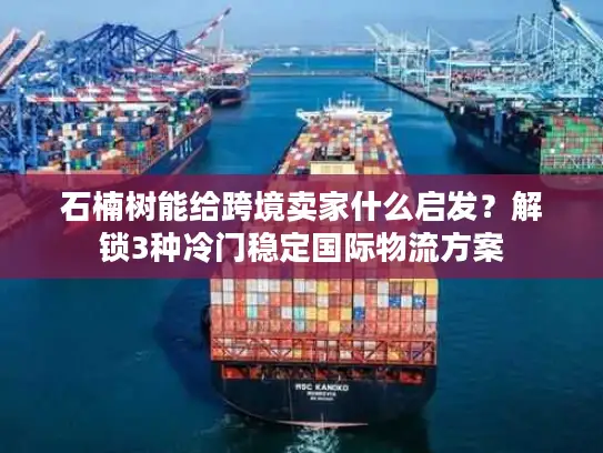 石楠树能给跨境卖家什么启发？解锁3种冷门稳定国际物流方案