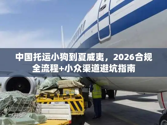 中国托运小狗到夏威夷，2026合规全流程+小众渠道避坑指南