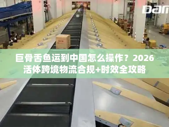 巨骨舌鱼运到中国怎么操作?2026活体跨境物流合规+时效全攻略 巨骨舌鱼运到中国怎么操作?2026活体跨境物流合规+时效全攻略