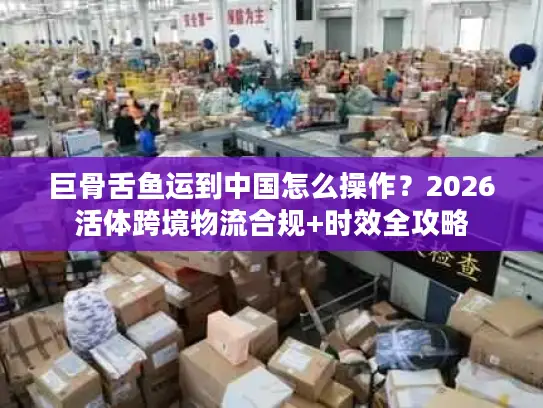 巨骨舌鱼运到中国怎么操作？2026活体跨境物流合规+时效全攻略