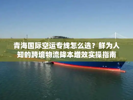 青海国际空运专线怎么选？鲜为人知的跨境物流降本增效实操指南